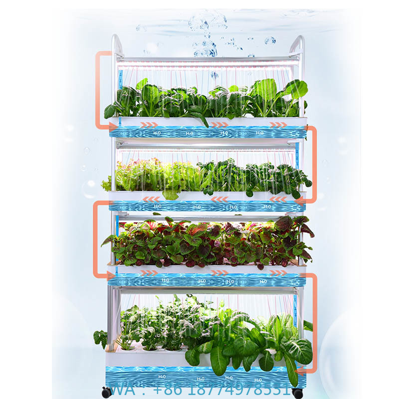 ydroponic Planting System Smar - Home Automation Diy review and price