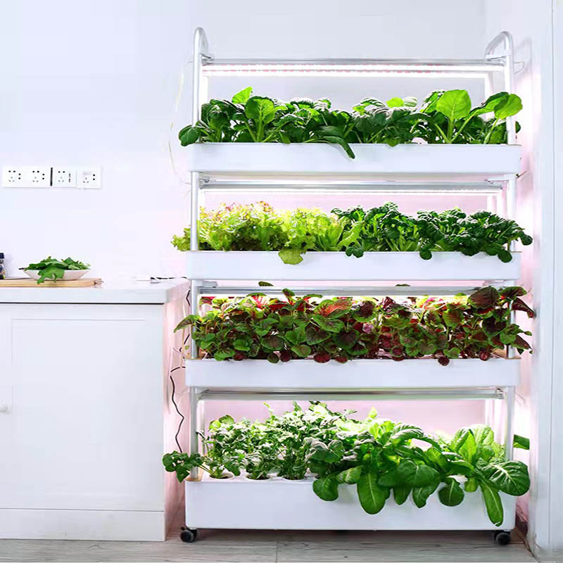 ydroponic Planting System Smar - Home Automation Diy review and price