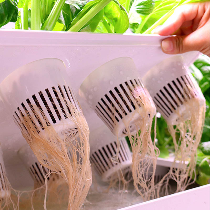 ydroponic Planting System Smar - Home Automation Diy review and price